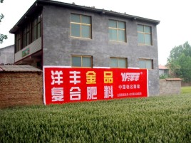 石林如何让墙体广告展现最大化效果